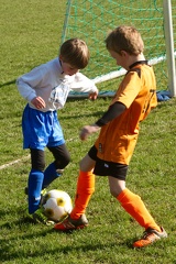 IMG 8908