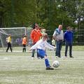 IMG 0398
