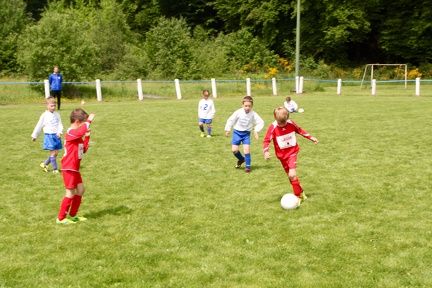 IMG 0962 (1)