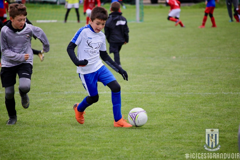 20190504 U10 38 - 20190504_U10_38.jpg 20190504_U10_38.jpg
