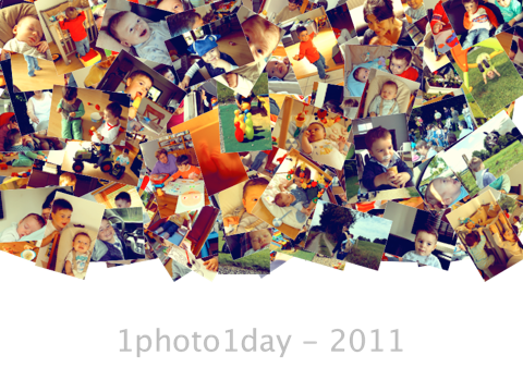 1photo1day_2011