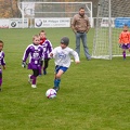 IMG 4733