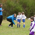 IMG 4611