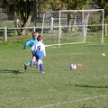 IMG 4088