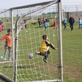 IMG 4147